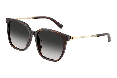 Solbriller Tiffany TF4244D 80153C