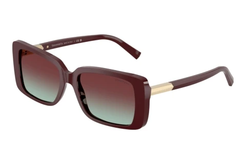 Solbriller Tiffany TF4249 8389V5