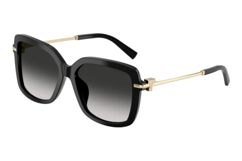 Solbriller Tiffany TF4252B 80013C