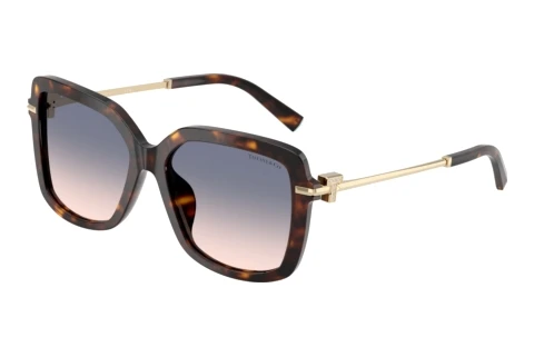 Solbriller Tiffany TF4252B 801516