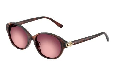 Solbriller Tiffany TF4263D 84218H