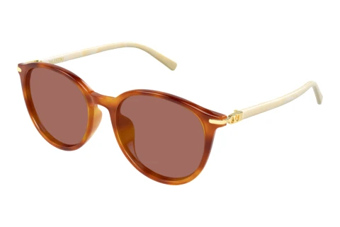 Solbriller Valentino VG0048SK 002