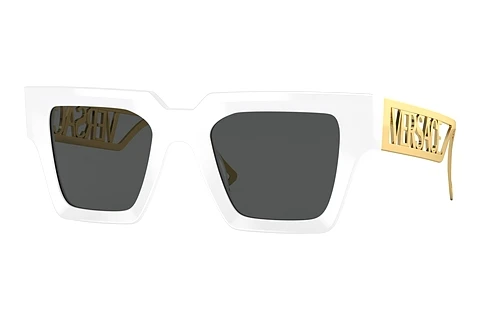 Solbriller Versace VE4431 401/87