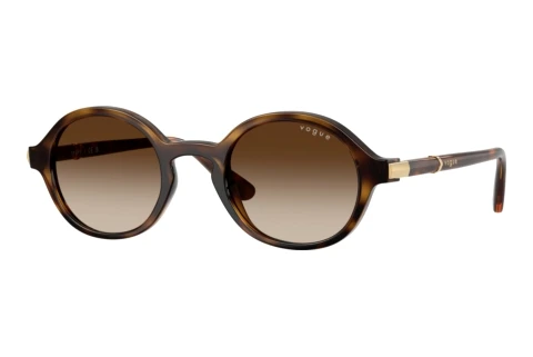 Solbriller Vogue Eyewear VO5692S W65613