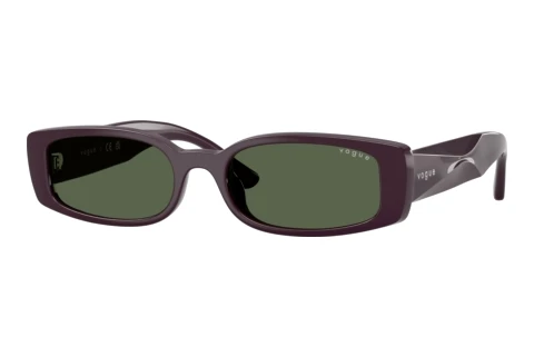 Solbriller Vogue Eyewear VO5725SU 242671