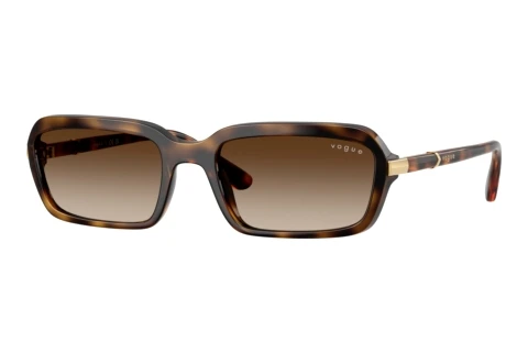 Solbriller Vogue Eyewear VO5744S W65613