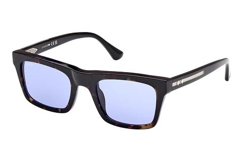 Solbriller Web Eyewear WE0362 56V