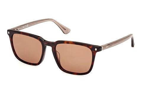 Solbriller Web Eyewear WE0369 56E