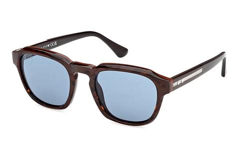 Solbriller Web Eyewear WE0370 56V