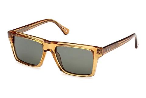 Solbriller Web Eyewear WE0383 39N