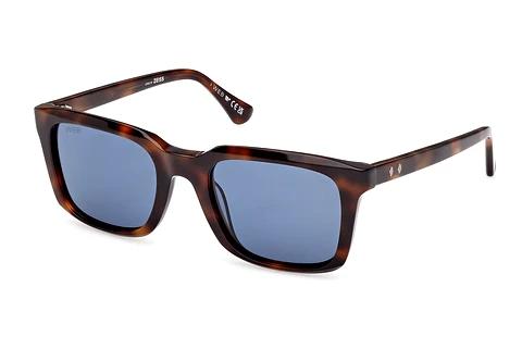 Solbriller Web Eyewear WE0388 52V