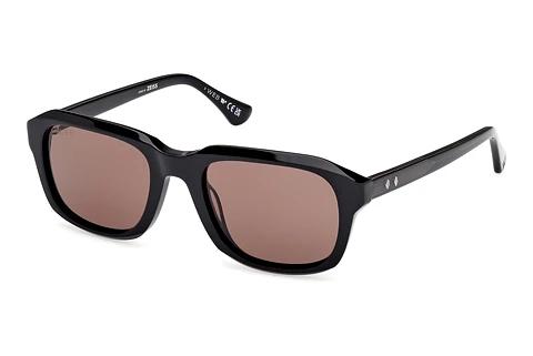 Solbriller Web Eyewear WE0389 01E