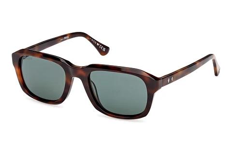 Solbriller Web Eyewear WE0389 52N