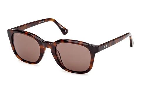 Solbriller Web Eyewear WE0390 52E