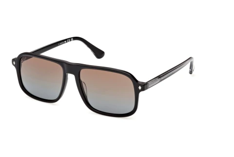 Solbriller Web Eyewear WE0396 05F