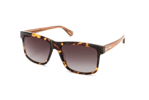 Solbriller Wood Fellas Blumenberg (10779 zebrano)
