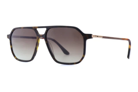 Solbriller Wood Fellas Jog (11728 curled/havana)