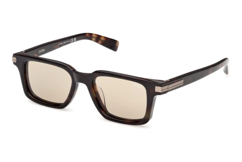 Solbriller Zegna EZ0280 52E
