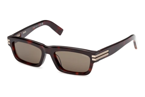 Solbriller Zegna EZ0282 54N