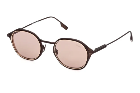 Solbriller Zegna EZ0294 49E