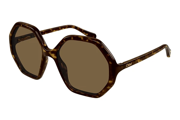 Solbriller Chloé CC0004S 008