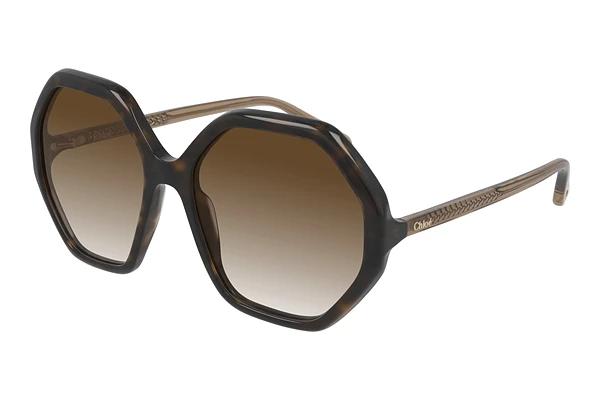 Solbriller Chloé CH0008S 004