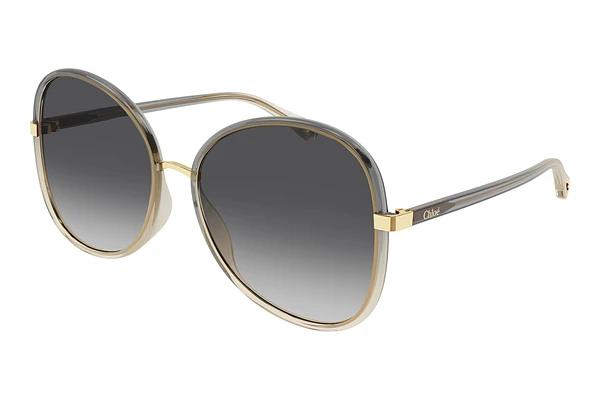 Solbriller Chloé CH0030S 008