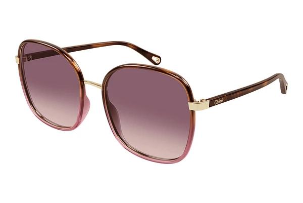 Solbriller Chloé CH0031S 016