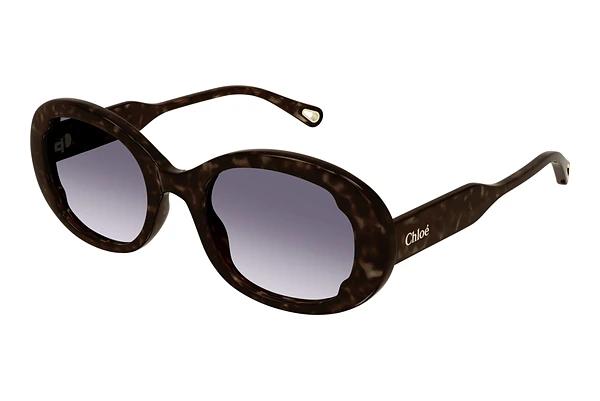 Solbriller Chloé CH0197SA 002