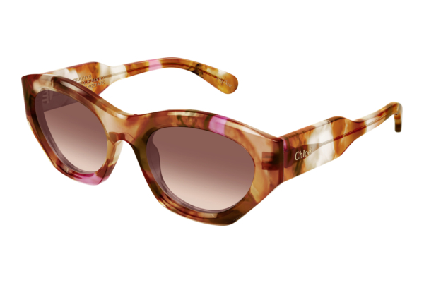 Solbriller Chloé CH0220S 016