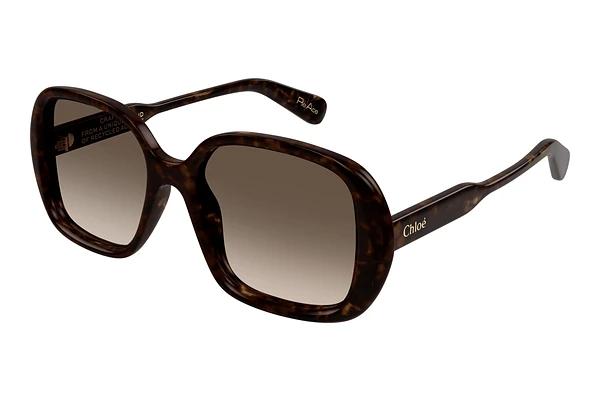 Solbriller Chloé CH0222S 002