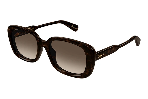 Solbriller Chloé CH0225SK 002