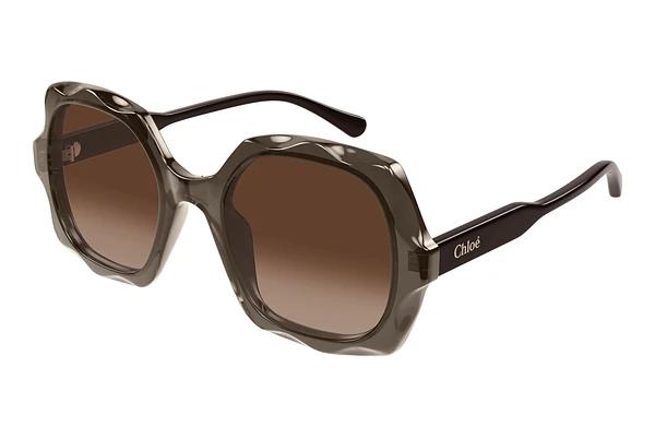 Solbriller Chloé CH0226S 007