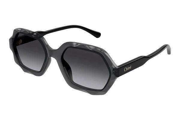 Solbriller Chloé CH0227S 001