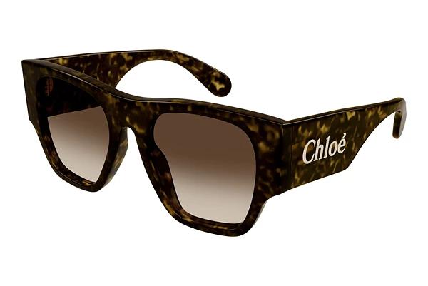 Solbriller Chloé CH0233S 002
