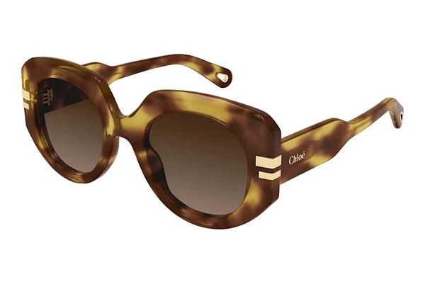 Solbriller Chloé CH0257S 002