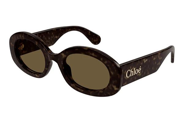Solbriller Chloé CH0258S 002