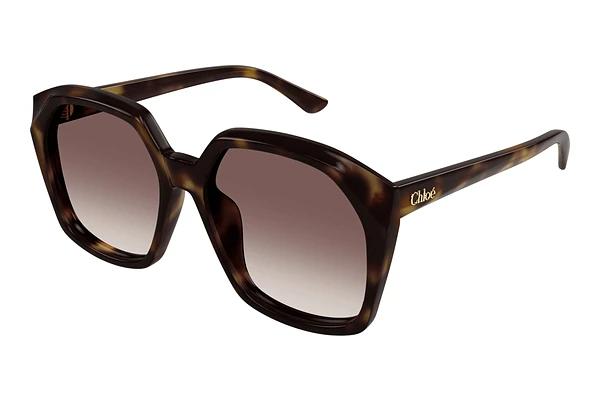 Solbriller Chloé CH0280S 006