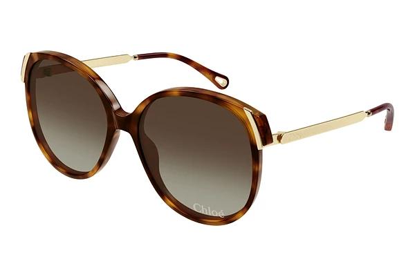 Solbriller Chloé CH0285S 002