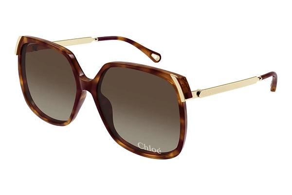 Solbriller Chloé CH0286S 002