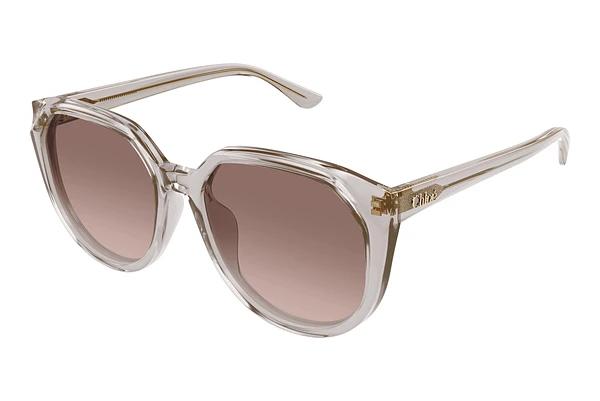 Solbriller Chloé CH0291SK 004