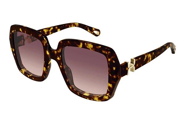 Solbriller Chloé CH0301S 002