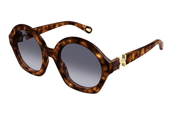 Solbriller Chloé CH0302S 002