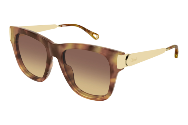 Solbriller Chloé CH0349S 002