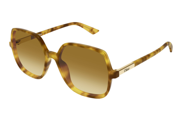 Solbriller Chloé CH0362S 004