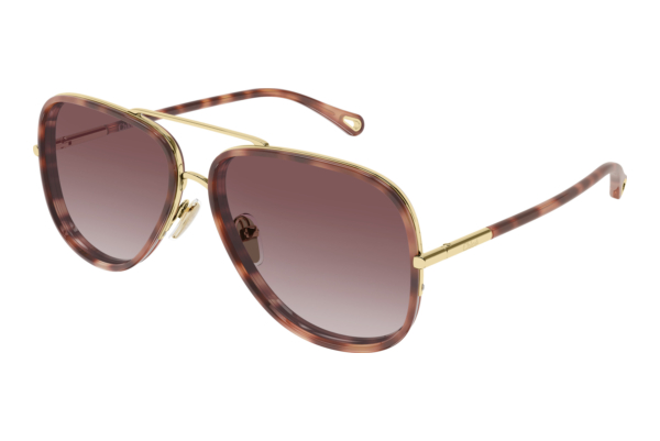 Solbriller Chloé CH0382S 004