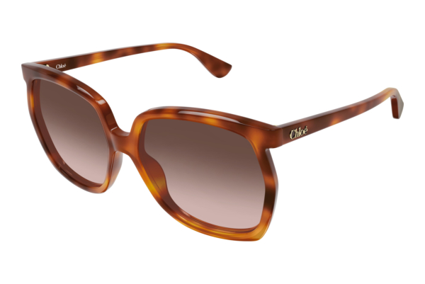 Solbriller Chloé CH0389S 002