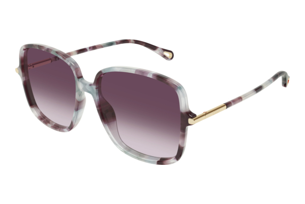 Solbriller Chloé CH0396S 004
