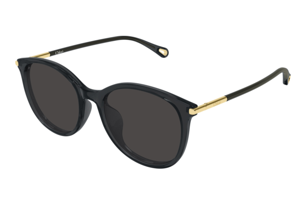 Solbriller Chloé CH0397SK 001