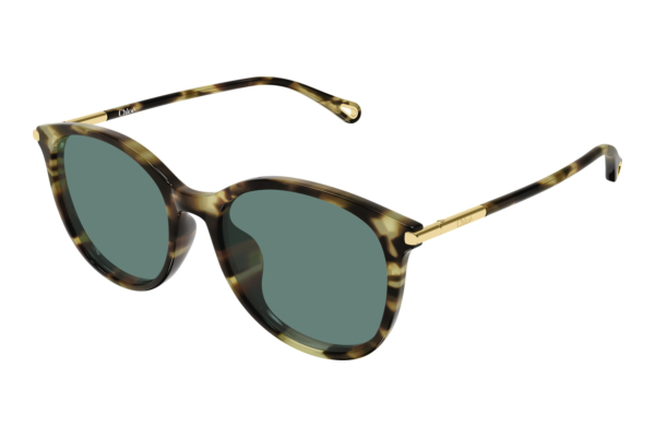 Solbriller Chloé CH0397SK 002
